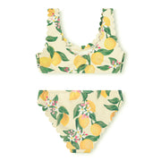 Citrus Bikini