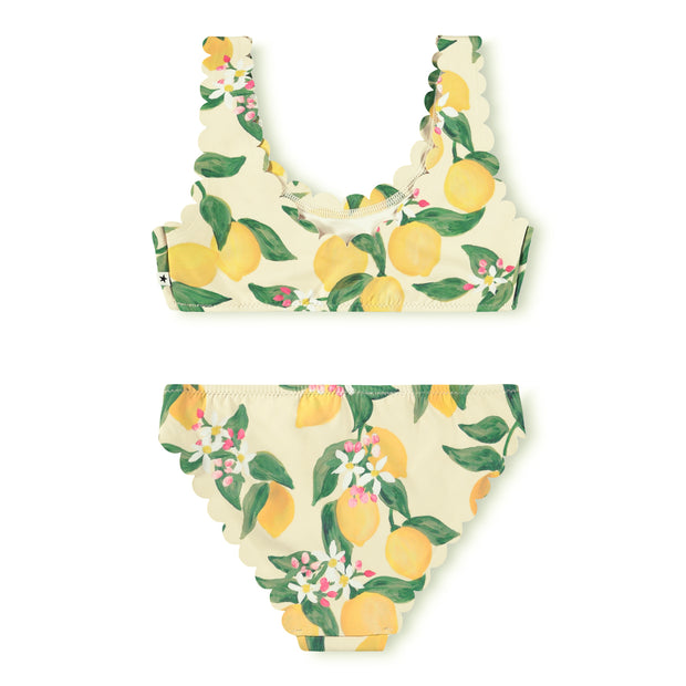Citrus Bikini