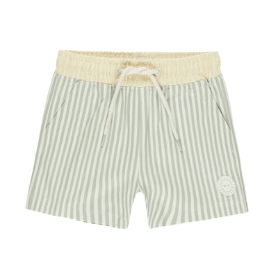 Sage Stripe Boardshort